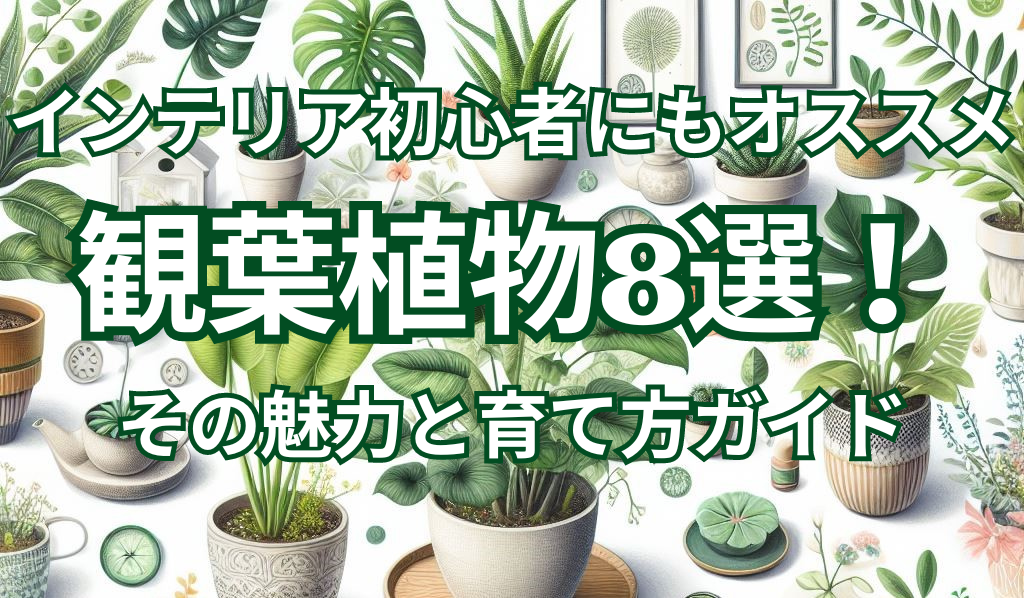 インテリア初心者にもオススメの観葉植物8選！その魅力と育て方ガイド 一級建築士こそてんのインテリアブログ